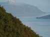 Juneau (9)