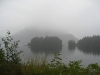 Sitka (1)