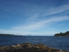 Sitka (3)