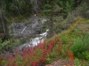 Yukon (4)