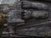 P8120052