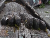 P8120065