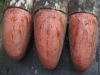 P8130116