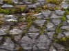 P8120050