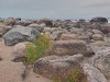 Rocks on the lakeshore, Awenda Provincial Park