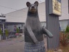 Bear in a kilt, Parry Sound