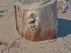 Face log along the shore, Munising, Michigan