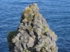 20140811 (14)