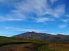 20140811 (16)