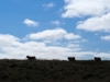 20140813 (02)