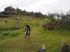 20140816 (13)
