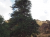 PA020214