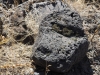 PA030259