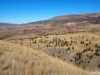 PA030270