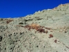 PA030297