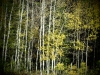 PA100905