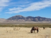 PA110980