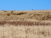 PA121122