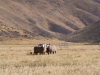PA070633