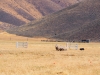 PA070650