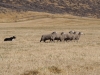 PA070656