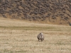 PA070684