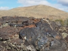 PA080725