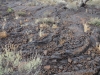 PA080766