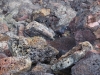 PA080778