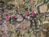 IMG_20170514_075343