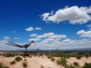 P5180571