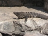 Ruins at Tulum, Iguana guide